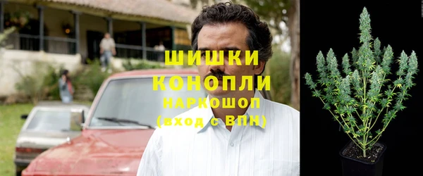 крисы Баксан