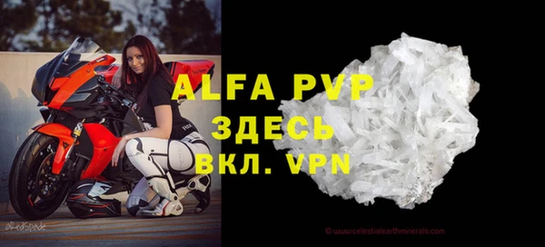 крисы Баксан