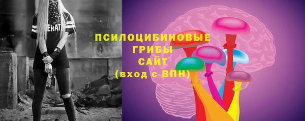 крисы Баксан