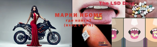 крисы Баксан
