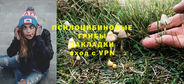 дживик Балахна
