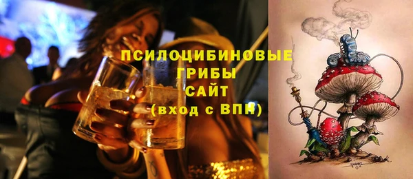 дживик Балахна
