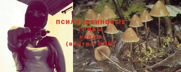 марки lsd Балабаново