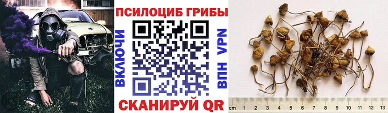 где можно купить   ОМГ ОМГ ССЫЛКА  Псилоцибиновые грибы Cubensis  Свирск 